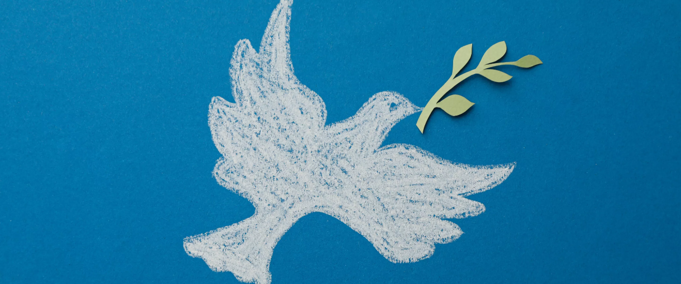 A chalk drawing of a white dove with a green olive branch in its beak