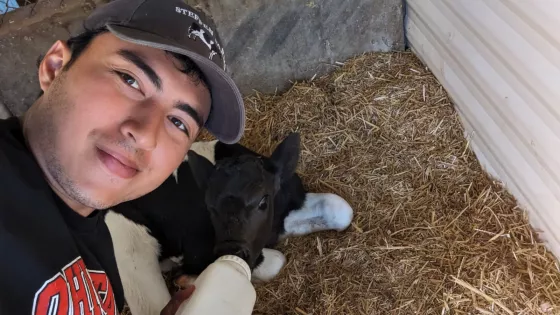 A man taking a selfie photo while feeding a cow milk from a bottle